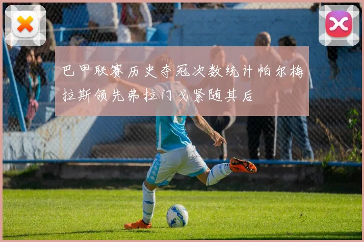 巴甲联赛历史夺冠次数统计帕尔梅拉斯领先弗拉门戈紧随其后