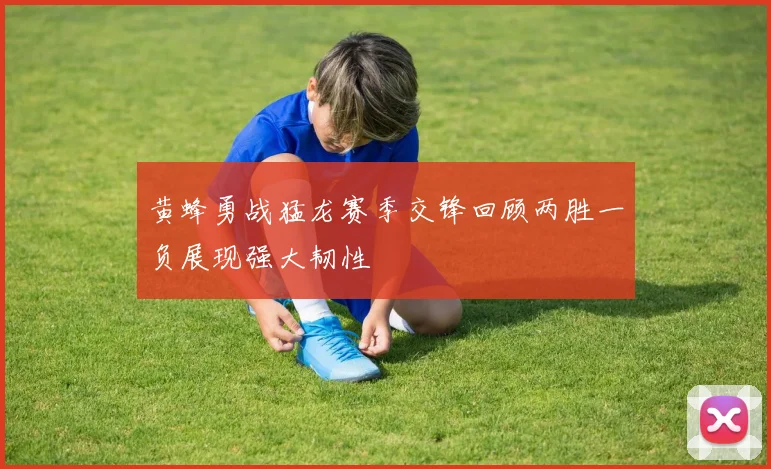 黄蜂勇战猛龙赛季交锋回顾两胜一负展现强大韧性