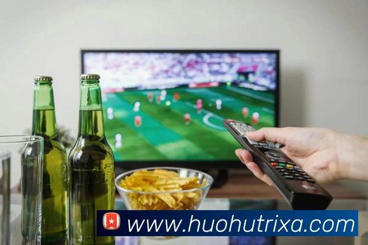 火狐体育平台生态图